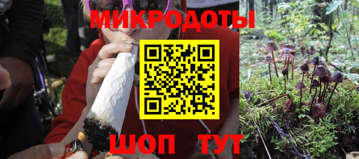 Псилоцибиновые грибы Cubensis Трёхгорный